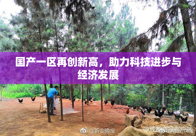 国产一区再创新高，助力科技进步与经济发展