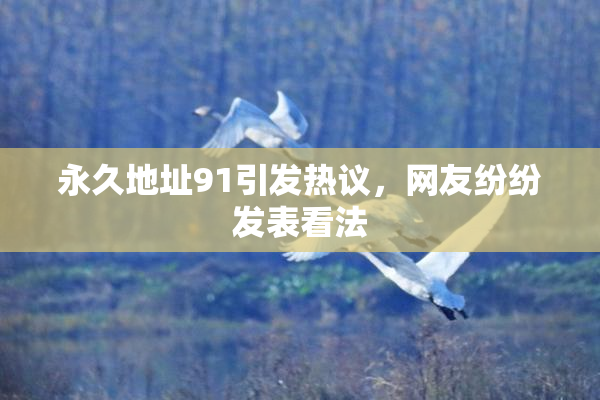 永久地址91引发热议，网友纷纷发表看法