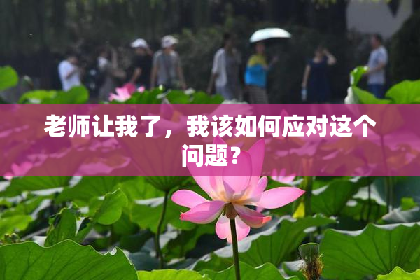 老师让我了，我该如何应对这个问题？