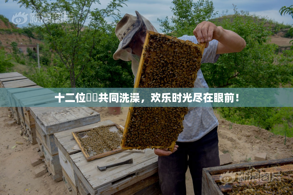 十二位妺妺共同洗澡，欢乐时光尽在眼前！