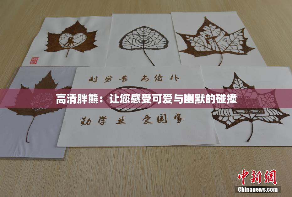 高清胖熊：让您感受可爱与幽默的碰撞