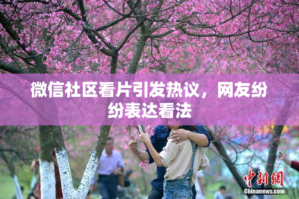 微信社区看片引发热议，网友纷纷表达看法