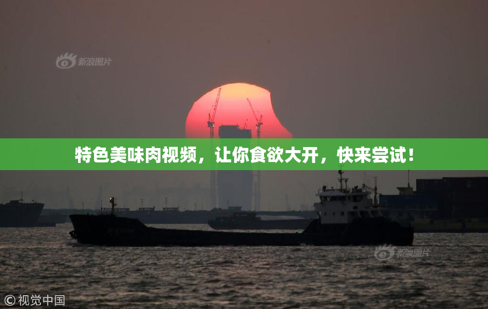 特色美味肉视频，让你食欲大开，快来尝试！