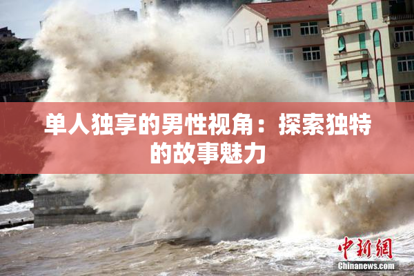 单人独享的男性视角：探索独特的故事魅力