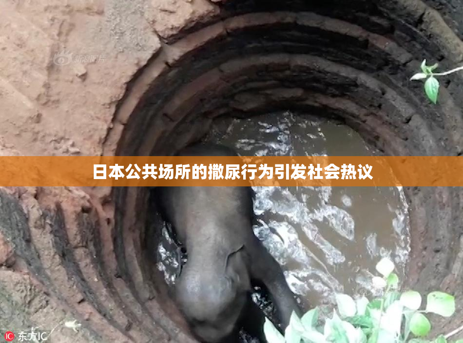 日本公共场所的撒尿行为引发社会热议