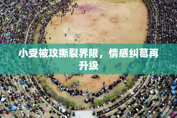 小受被攻撕裂界限，情感纠葛再升级