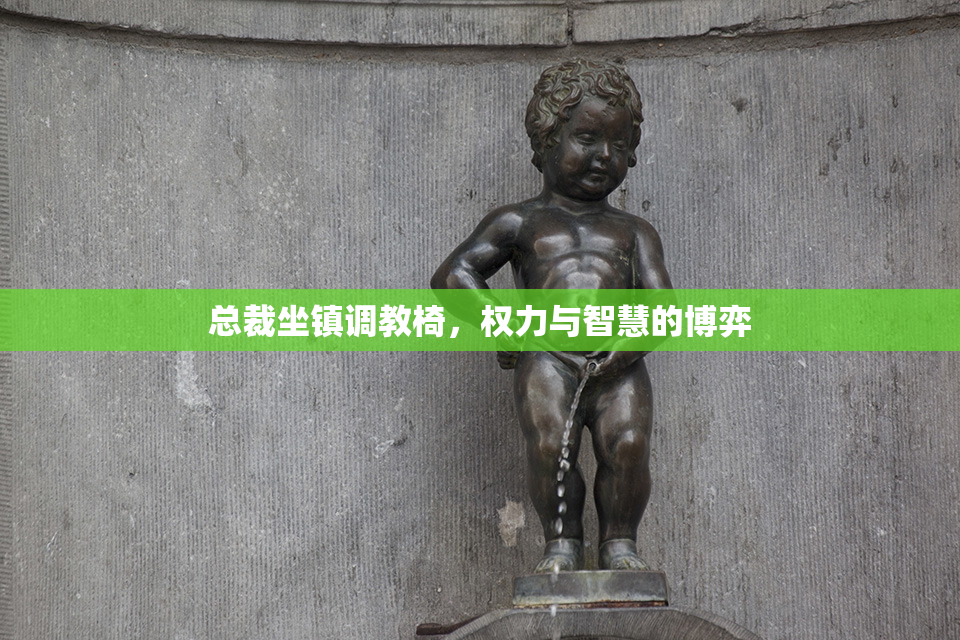 总裁坐镇调教椅，权力与智慧的博弈
