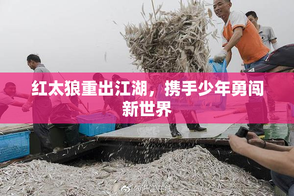 红太狼重出江湖，携手少年勇闯新世界