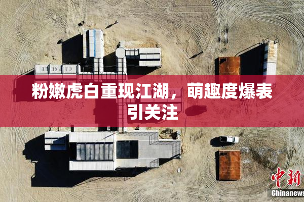粉嫩虎白重现江湖，萌趣度爆表引关注