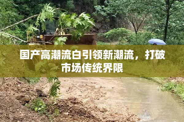 国产高潮流白引领新潮流，打破市场传统界限