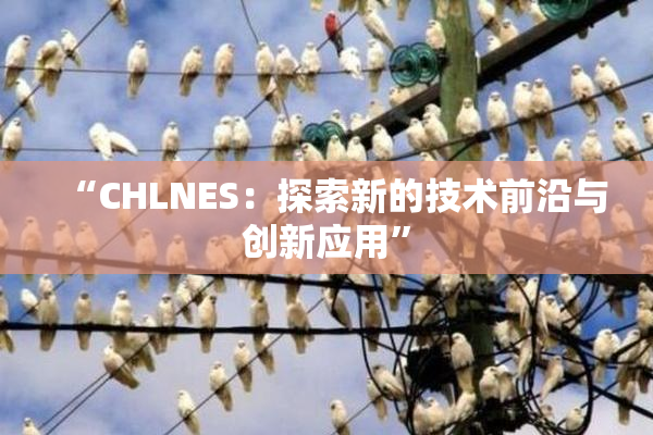 “CHLNES：探索新的技术前沿与创新应用”
