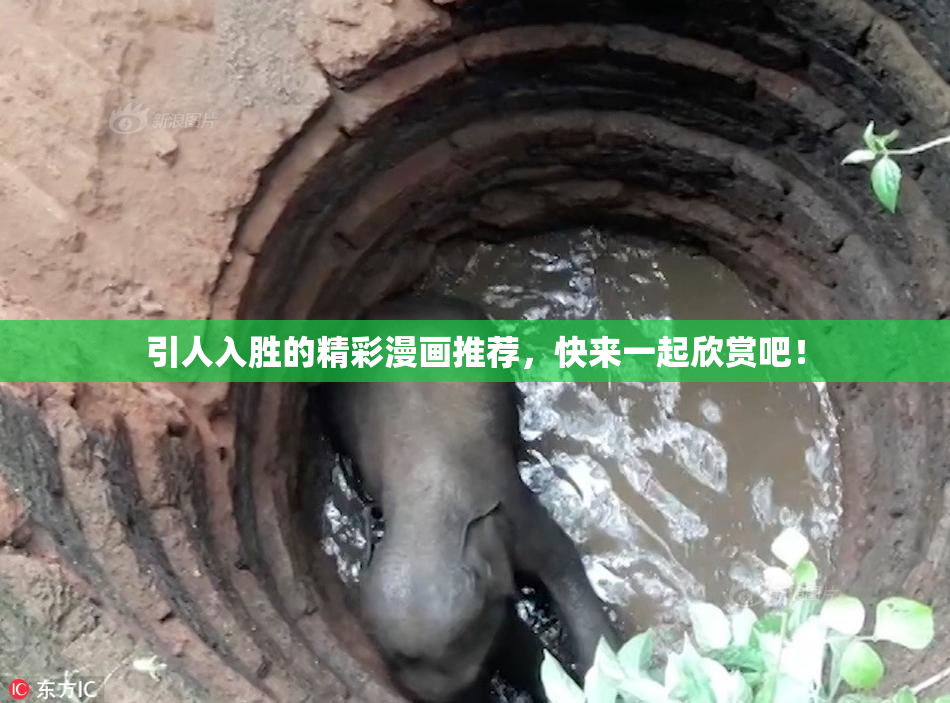 引人入胜的精彩漫画推荐，快来一起欣赏吧！