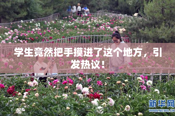 学生竟然把手摸进了这个地方，引发热议！