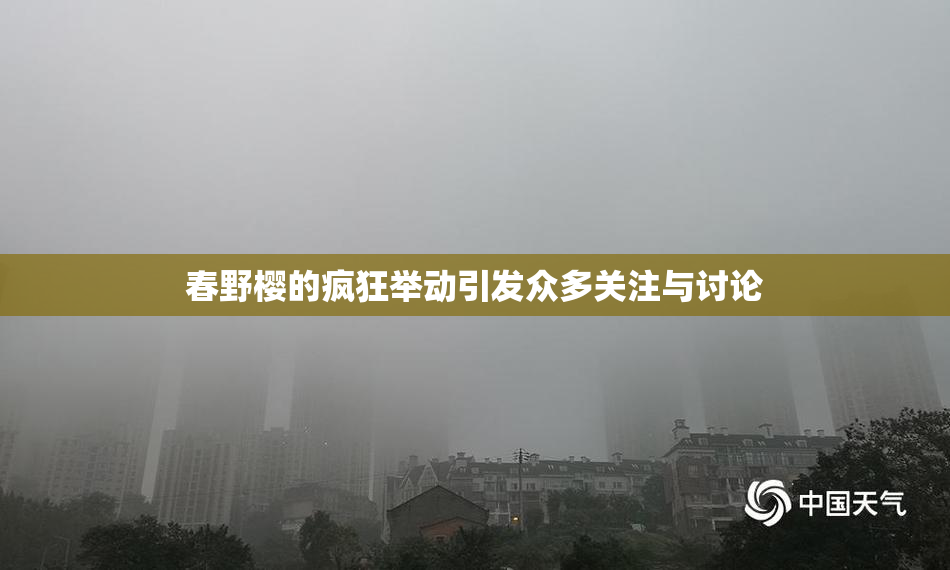 春野樱的疯狂举动引发众多关注与讨论