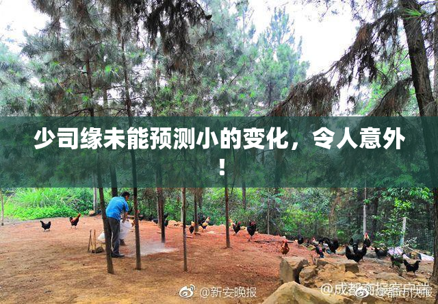少司缘未能预测小的变化，令人意外！