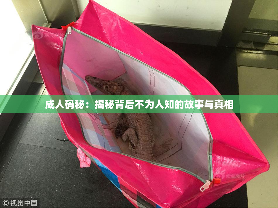 成人码秘：揭秘背后不为人知的故事与真相