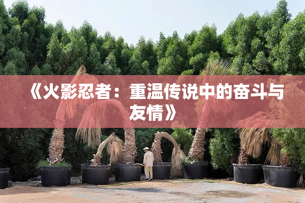 《火影忍者：重温传说中的奋斗与友情》