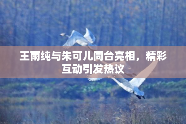 王雨纯与朱可儿同台亮相，精彩互动引发热议