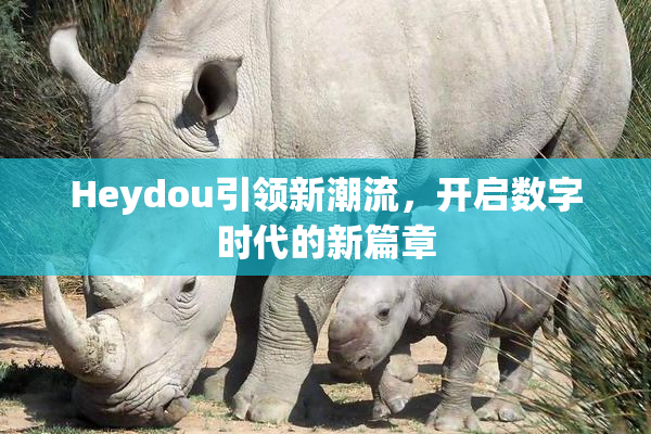 Heydou引领新潮流，开启数字时代的新篇章