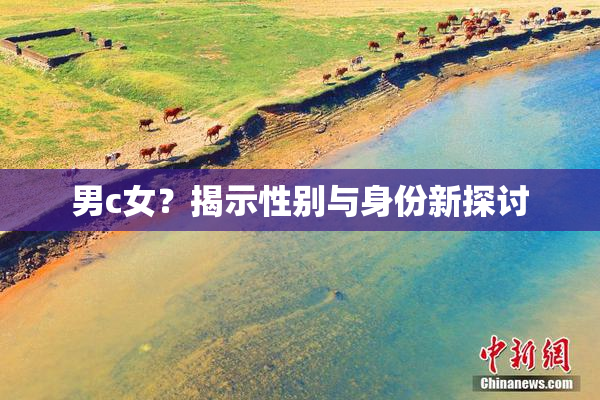 男c女？揭示性别与身份新探讨