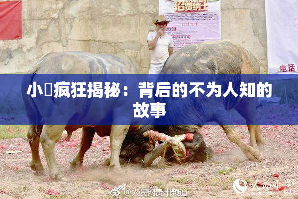 小泬疯狂揭秘：背后的不为人知的故事