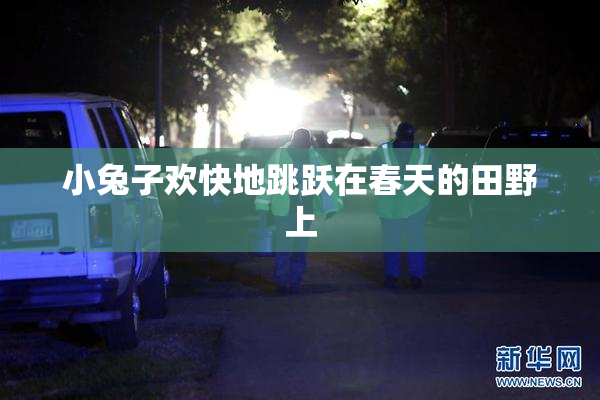 小兔子欢快地跳跃在春天的田野上