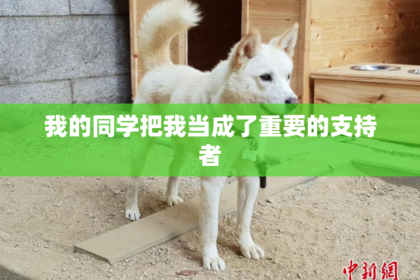 我的同学把我当成了重要的支持者