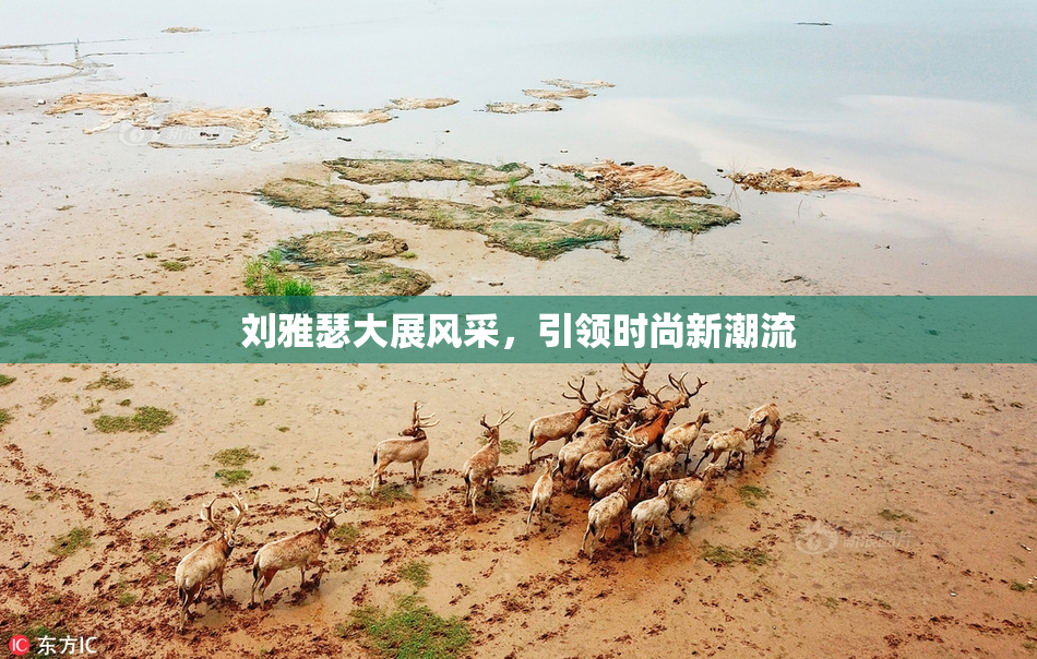 刘雅瑟大展风采，引领时尚新潮流