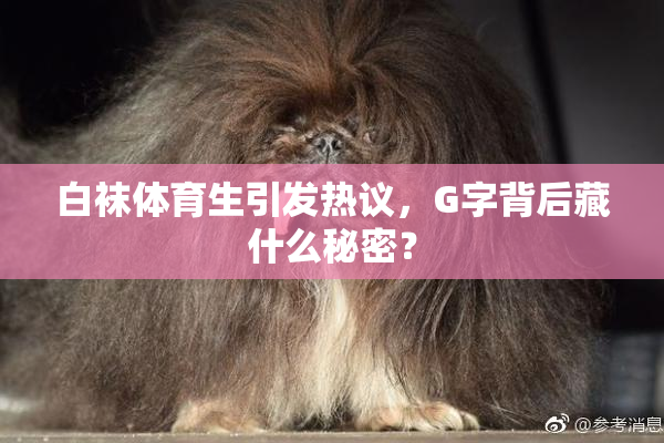 白袜体育生引发热议，G字背后藏什么秘密？