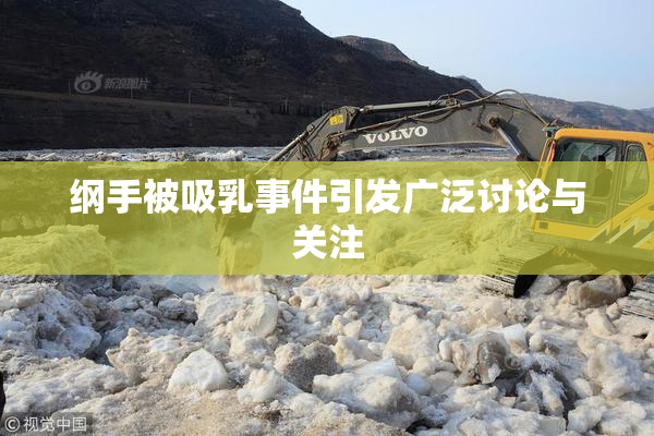 纲手被吸乳事件引发广泛讨论与关注