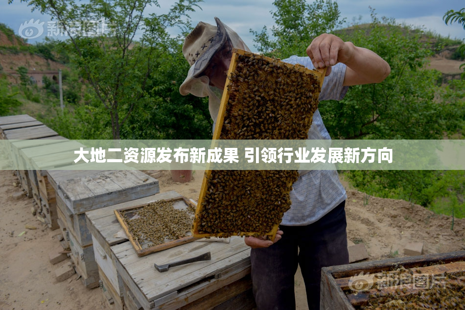 大地二资源发布新成果 引领行业发展新方向