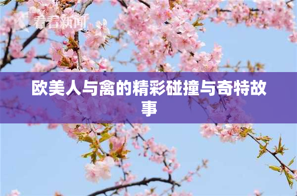 欧美人与禽的精彩碰撞与奇特故事
