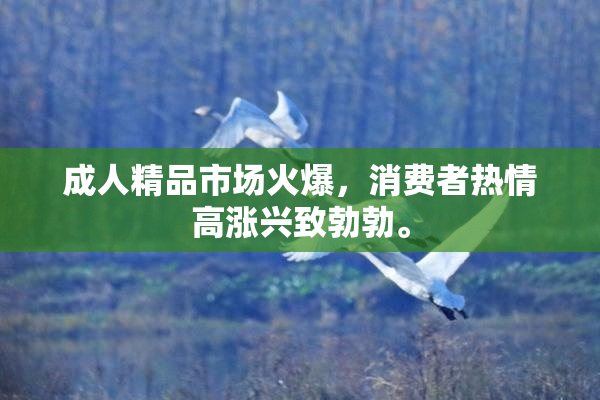 成人精品市场火爆，消费者热情高涨兴致勃勃。