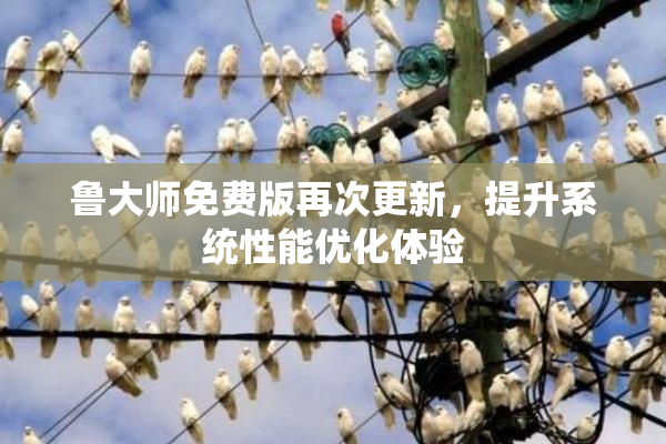 鲁大师免费版再次更新，提升系统性能优化体验