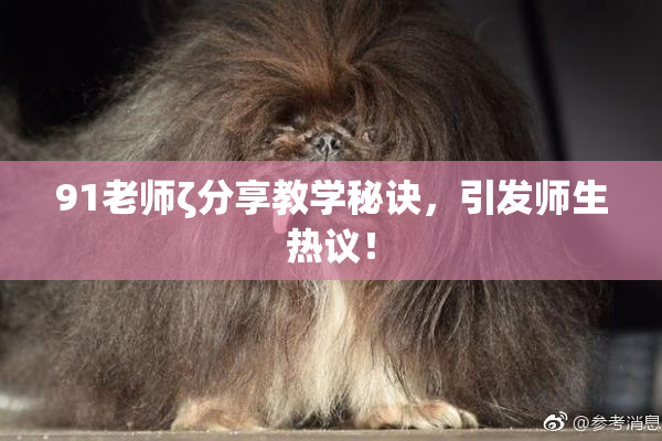 91老师ζ分享教学秘诀，引发师生热议！