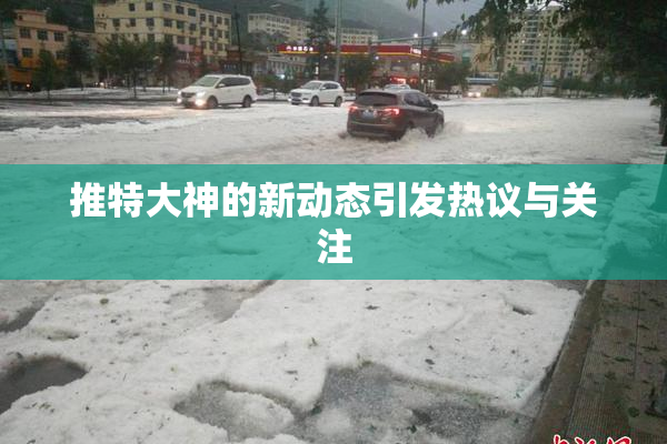 推特大神的新动态引发热议与关注
