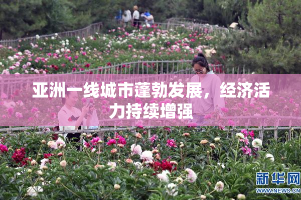 亚洲一线城市蓬勃发展，经济活力持续增强