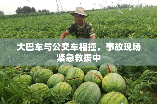 大巴车与公交车相撞，事故现场紧急救援中