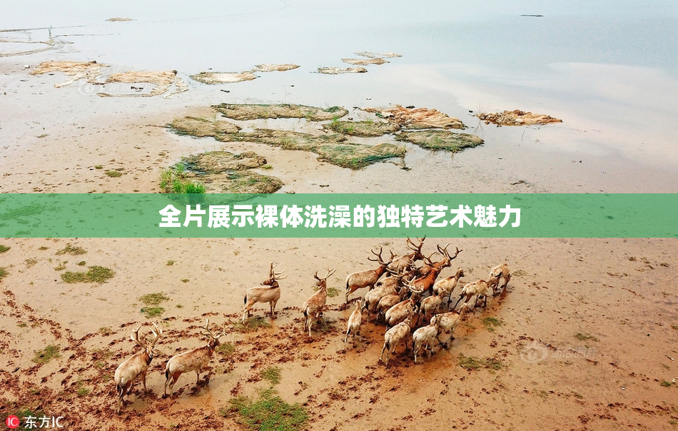 全片展示裸体洗澡的独特艺术魅力