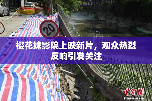 樱花妹影院上映新片，观众热烈反响引发关注
