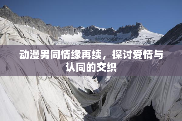 动漫男同情缘再续，探讨爱情与认同的交织