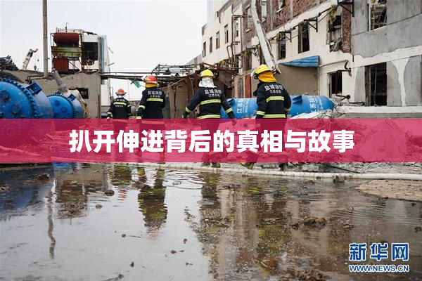 扒开伸进背后的真相与故事