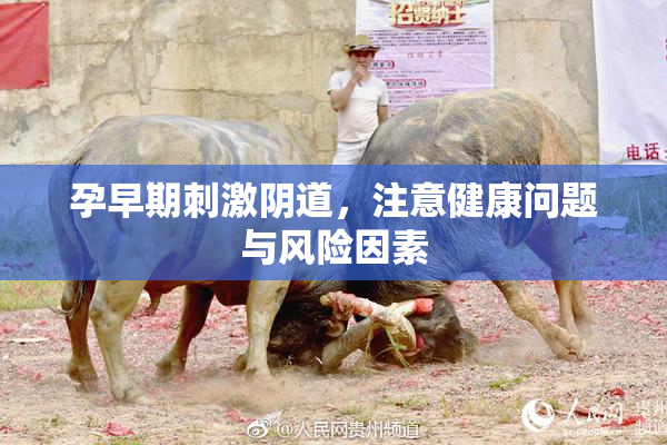 孕早期刺激阴道，注意健康问题与风险因素