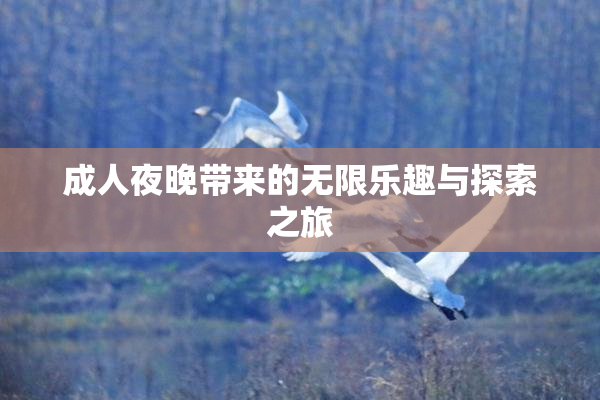 成人夜晚带来的无限乐趣与探索之旅