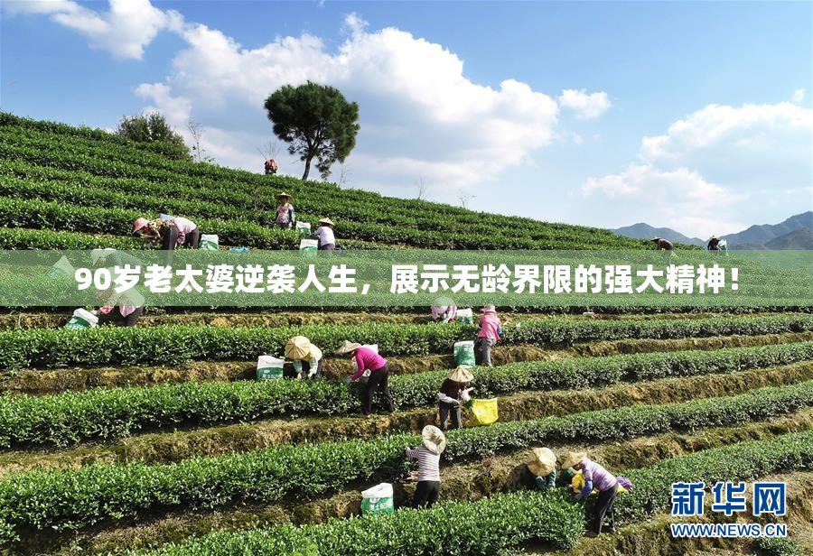 90岁老太婆逆袭人生，展示无龄界限的强大精神！