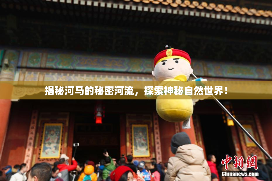 揭秘河马的秘密河流，探索神秘自然世界！