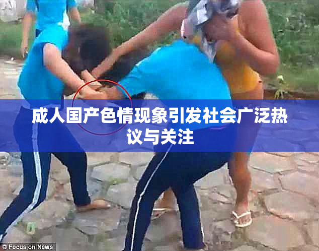 成人国产色情现象引发社会广泛热议与关注