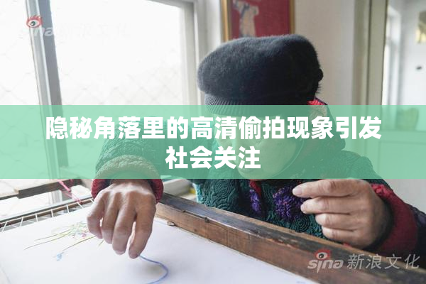 隐秘角落里的高清偷拍现象引发社会关注