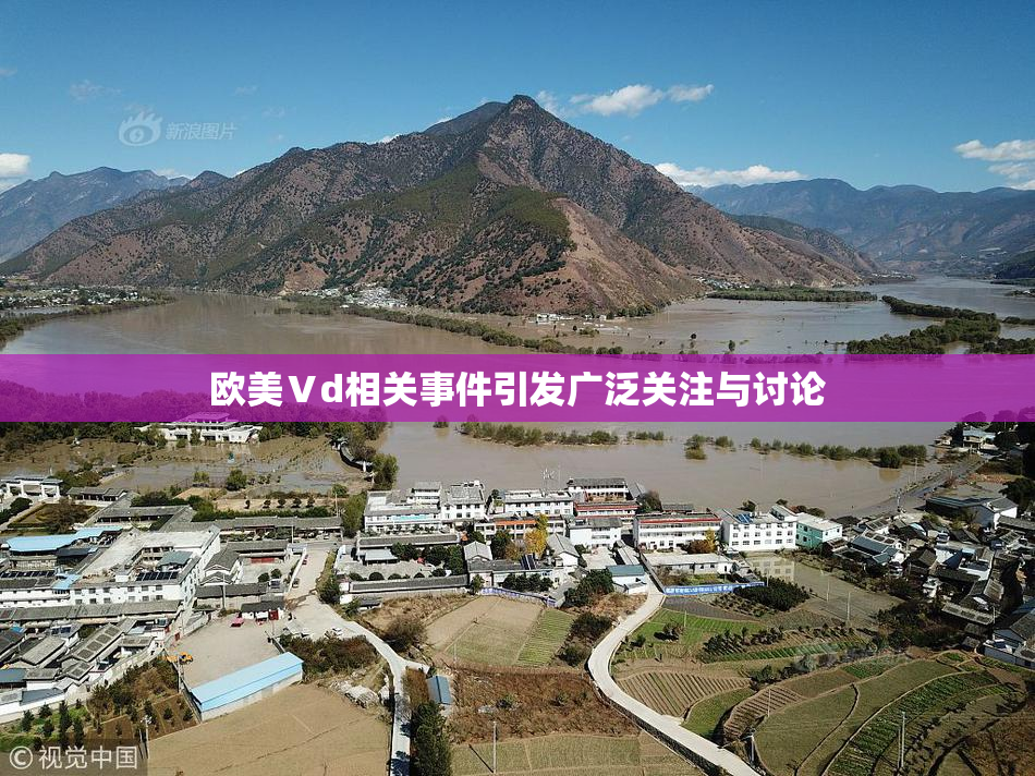 欧美Ⅴd相关事件引发广泛关注与讨论