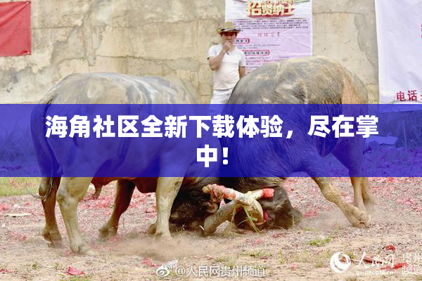 海角社区全新下载体验，尽在掌中！